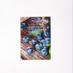 Secret Nature Укрепляющая тканевая маска с черникой