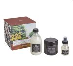 Davines. Набор. OI / Для абсолютной красоты волос