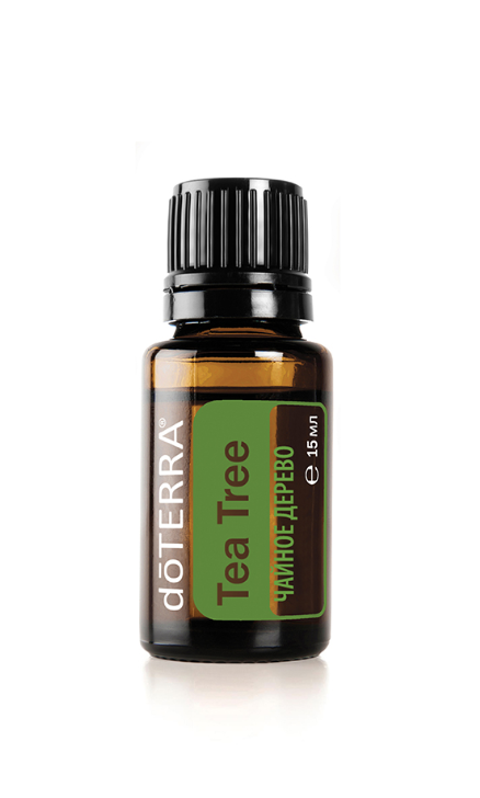 чайное дерево doTERRA Эфирное масло "Чайное дерево", 15 мл — изображение 1